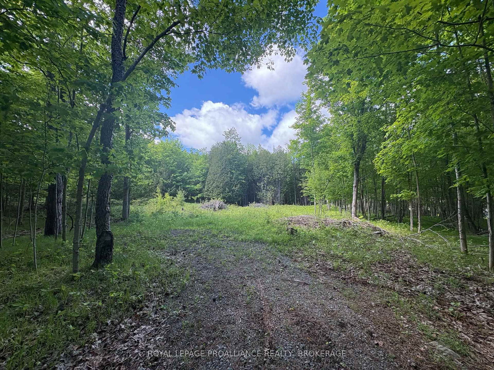 2220 Silver Rock Lane • Hartington, ON photo 4