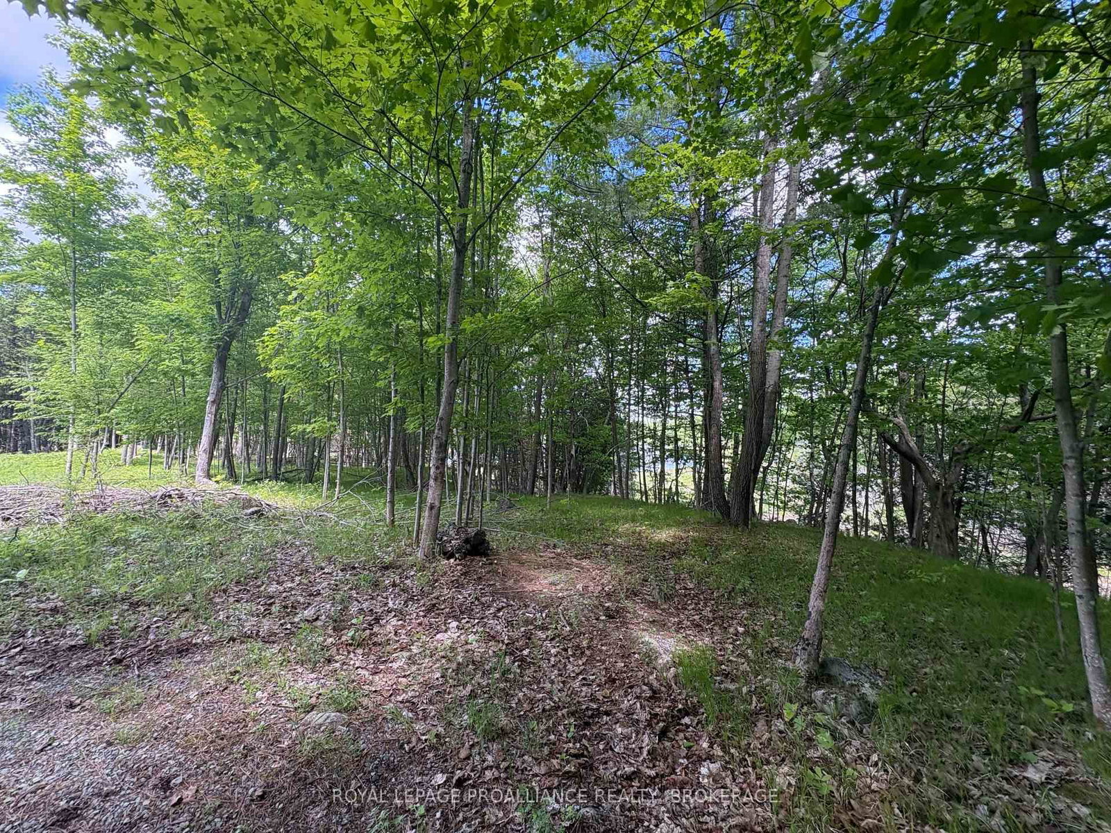 2220 Silver Rock Lane • Hartington, ON photo 5