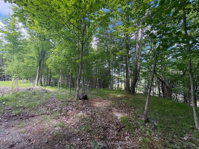 2220 Silver Rock Lane • Hartington, ON photo 5
