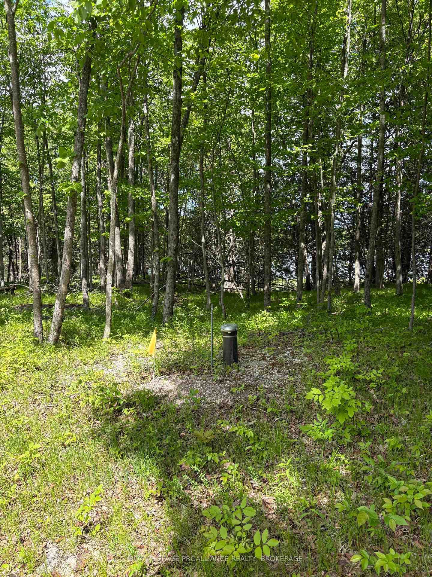 2220 Silver Rock Lane • Hartington, ON photo 6