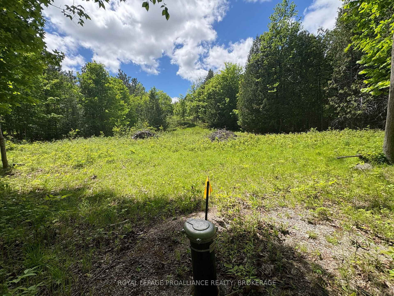 2220 Silver Rock Lane • Hartington, ON photo 8
