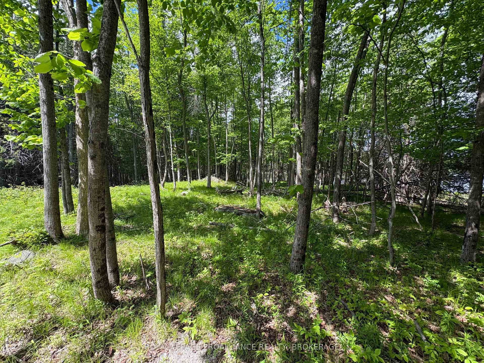 2220 Silver Rock Lane • Hartington, ON photo 9