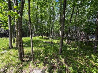 2220 Silver Rock Lane • Hartington, ON photo 9