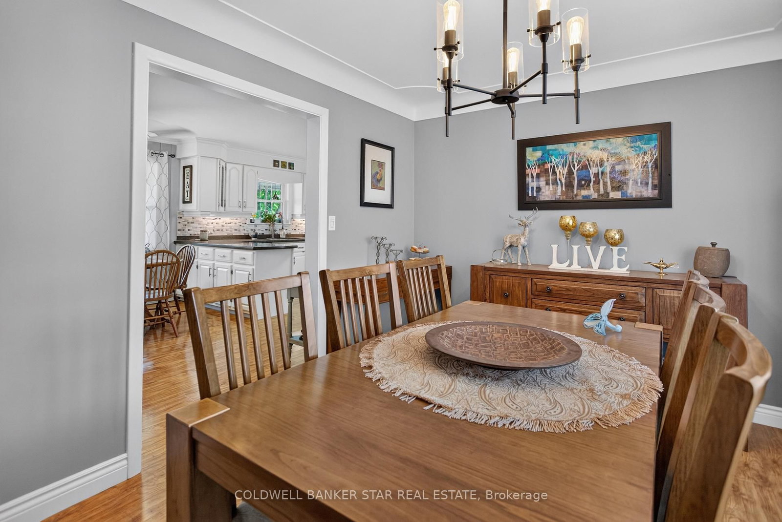 11047 Miller Road • Dutton/Dunwich, ON photo 16