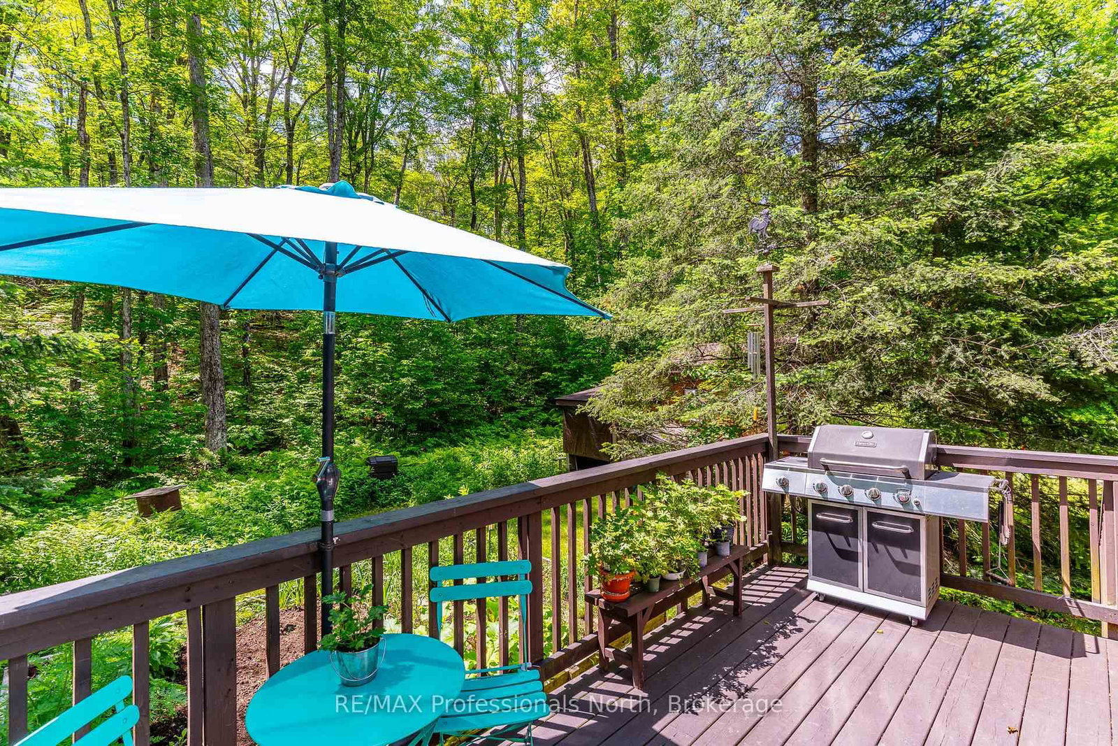 4792 Harburn Road • Dysart et al, ON photo 30
