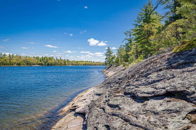 41928 Georgian Bay Shore