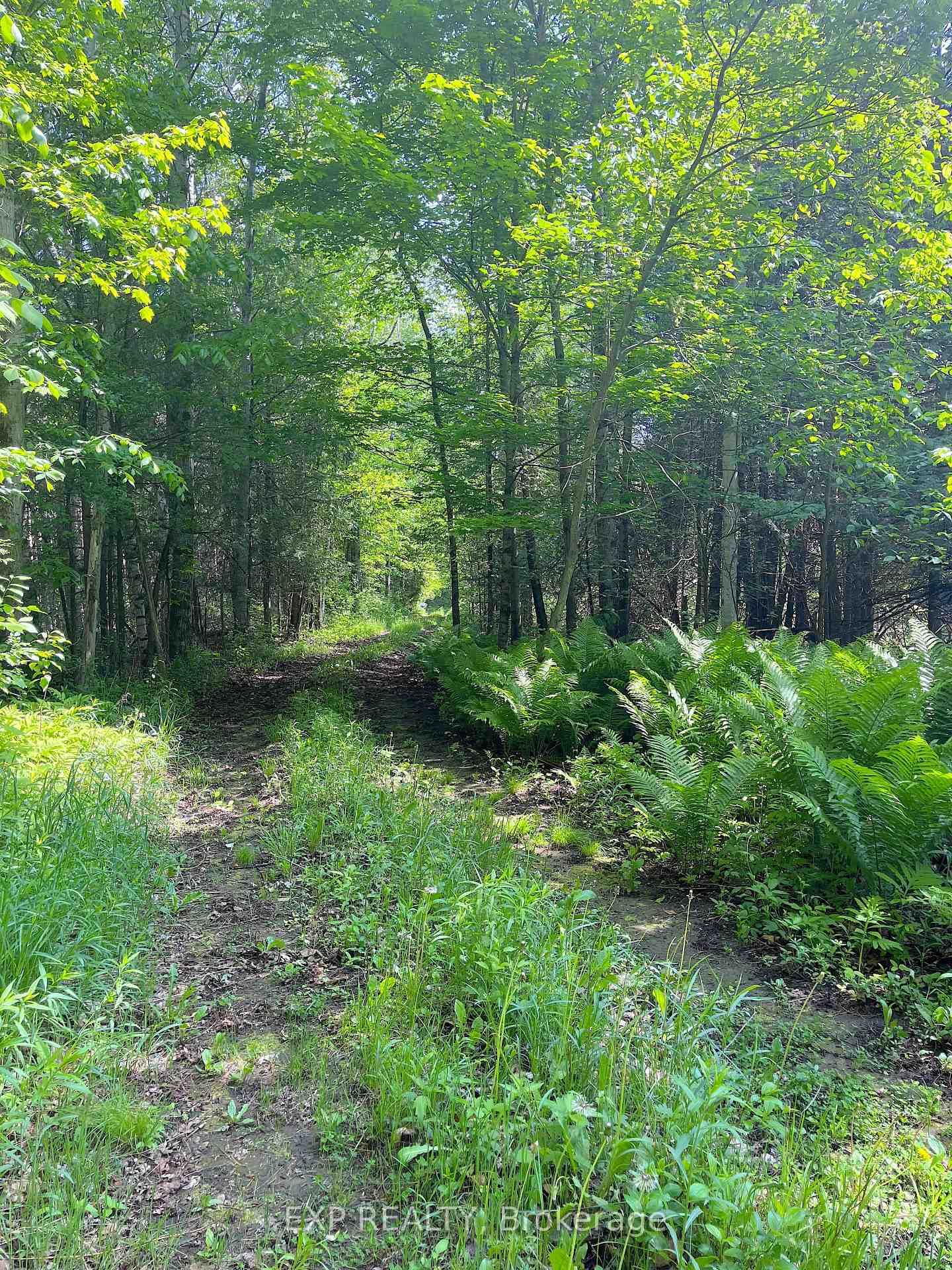 00 Johnston Road • Renfrew, ON photo 1