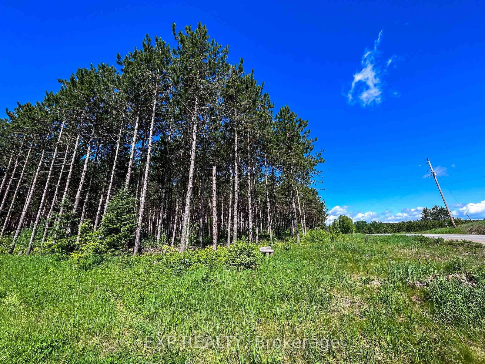 00 Johnston Road • Renfrew, ON photo 10