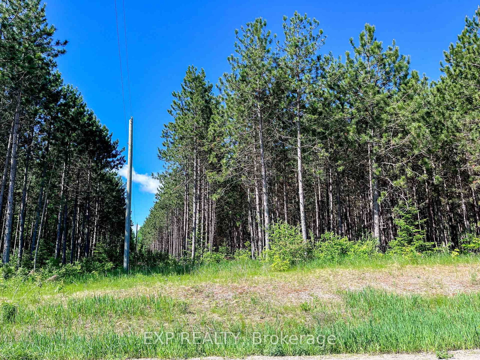 00 Johnston Road • Renfrew, ON photo 12