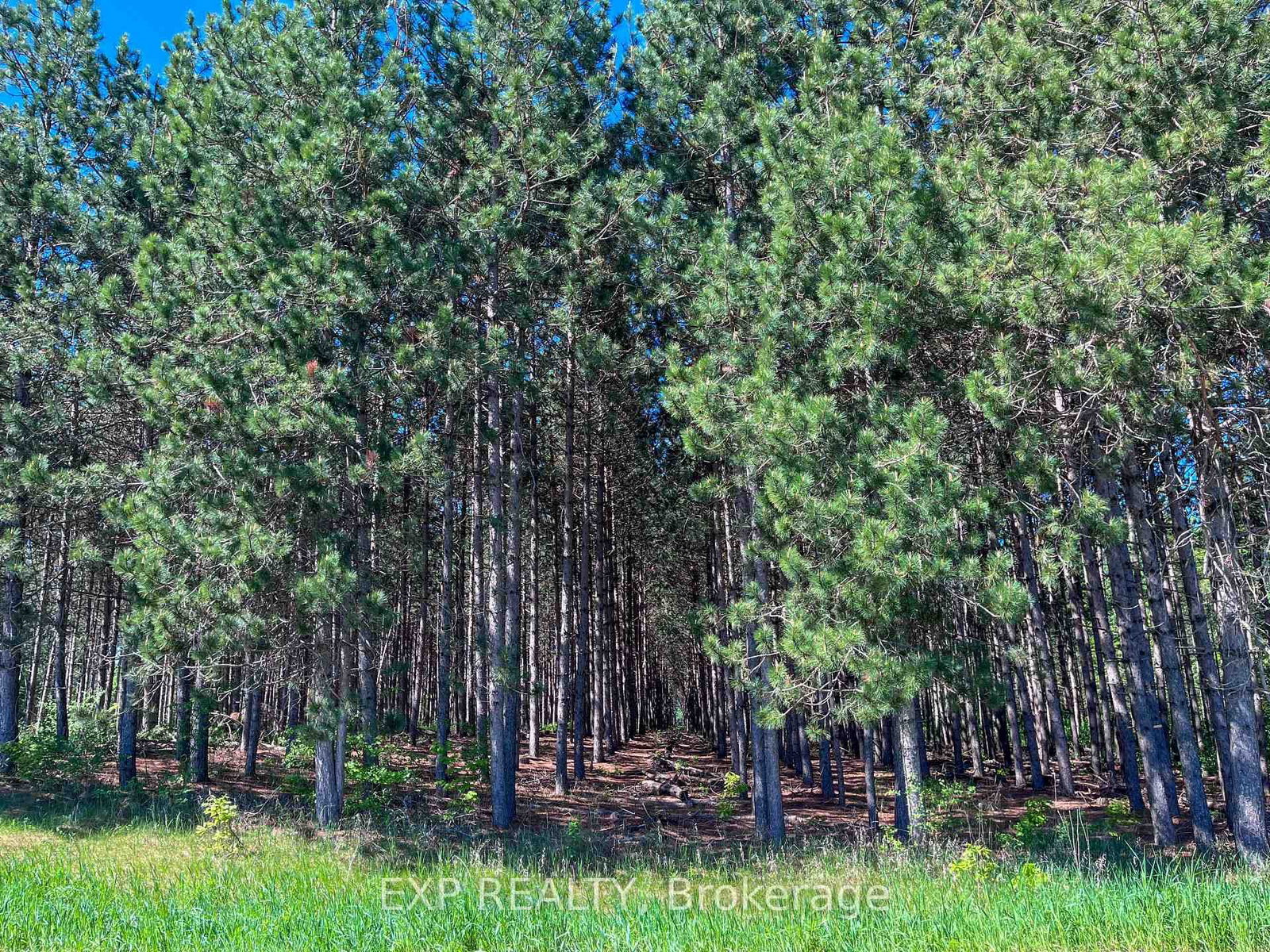 00 Johnston Road • Renfrew, ON photo 13