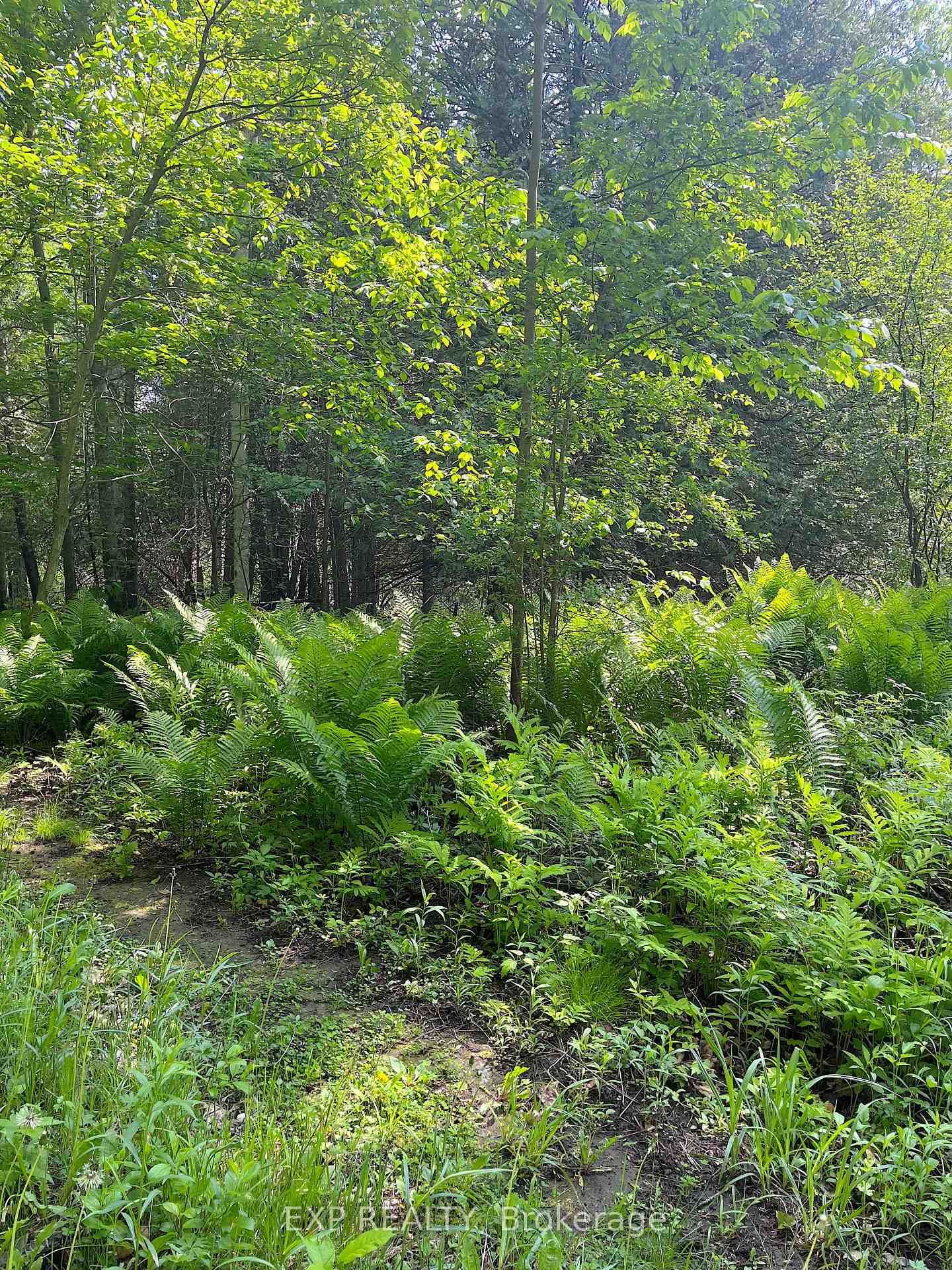 00 Johnston Road • Renfrew, ON photo 2