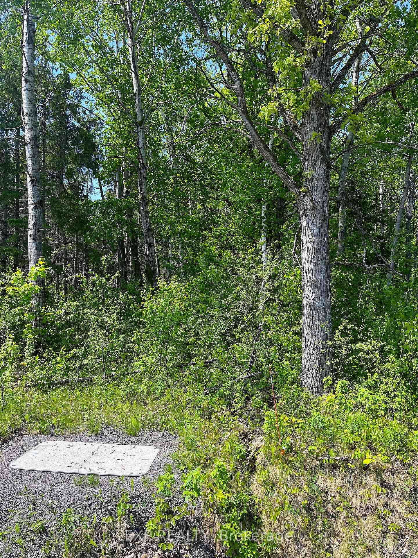 00 Johnston Road • Renfrew, ON photo 4