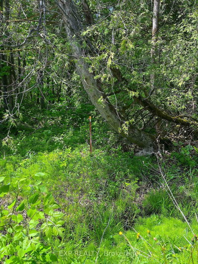 00 Johnston Road • Renfrew, ON photo 5