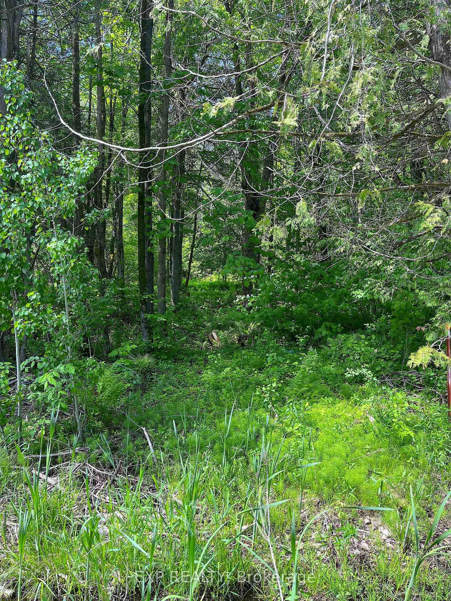 00 Johnston Road • Renfrew, ON photo 6