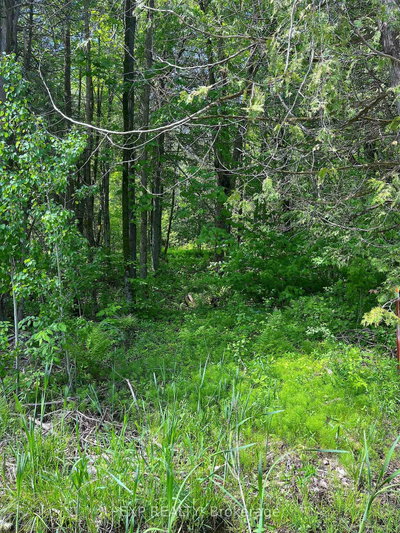 00 Johnston Road • Renfrew, ON photo 6
