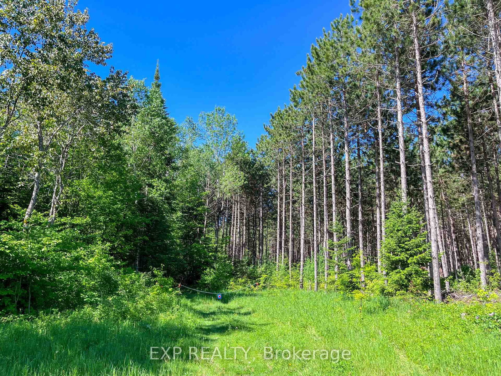 00 Johnston Road • Renfrew, ON photo 7