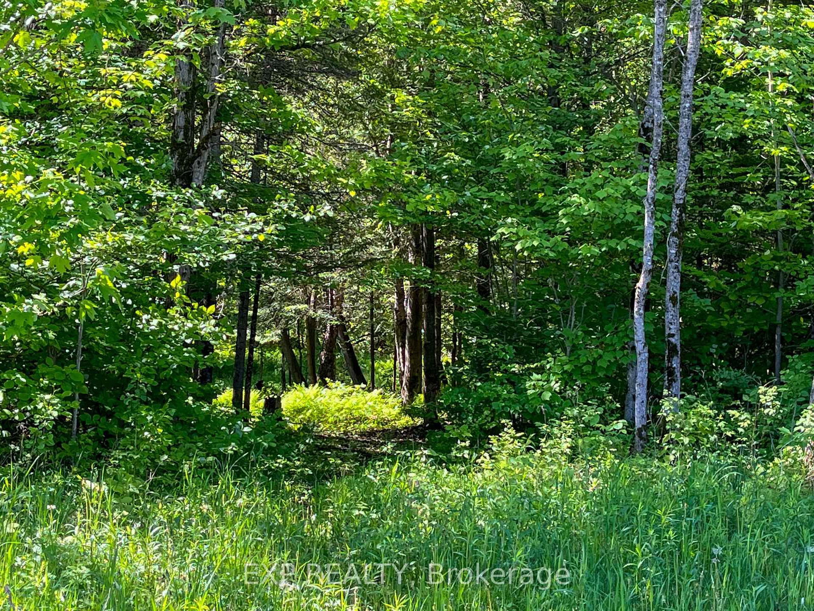 00 Johnston Road • Renfrew, ON photo 8