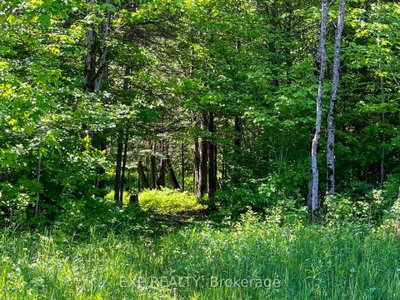 00 Johnston Road • Renfrew, ON photo 8