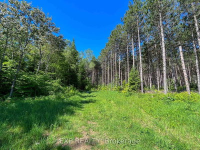 00 Johnston Road • Renfrew, ON photo 9