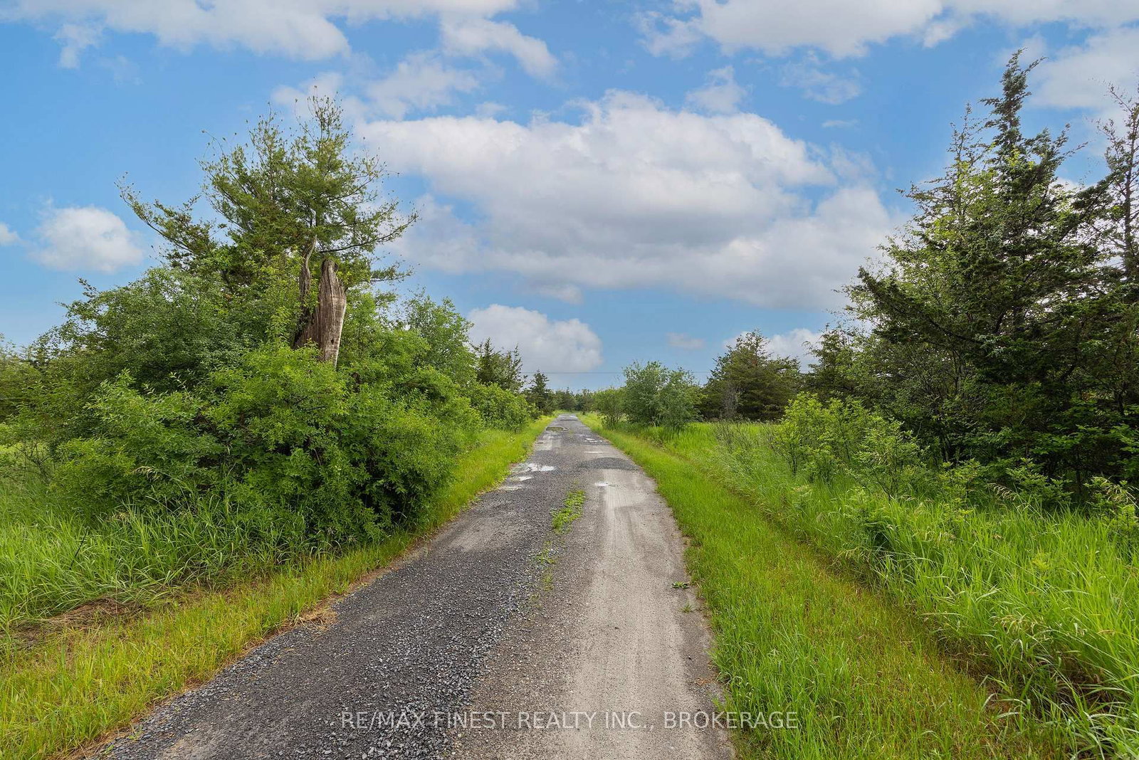697 Hinch Road • Newburgh, ON photo 5