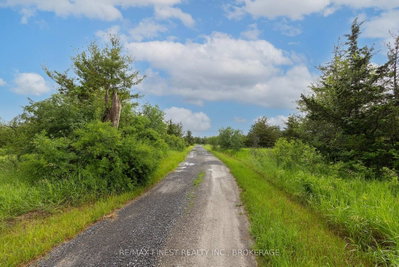 697 Hinch Road • Newburgh, ON photo 5