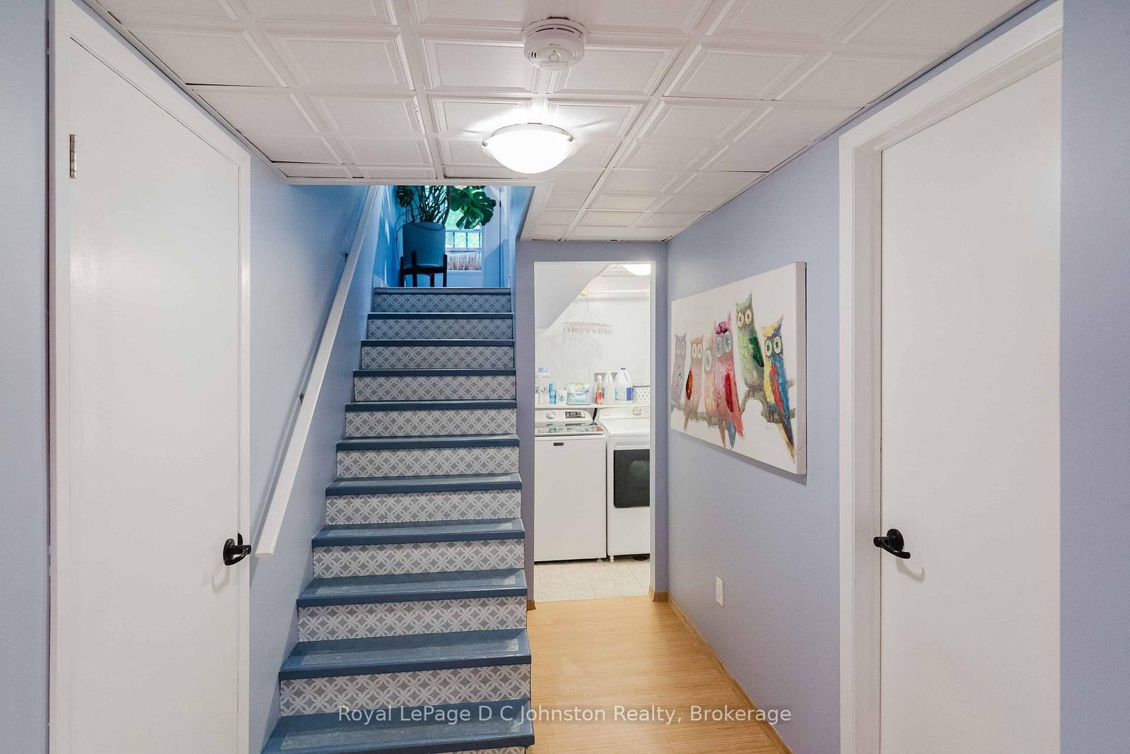 255 Rowe Street • Arran-Elderslie, ON photo 17
