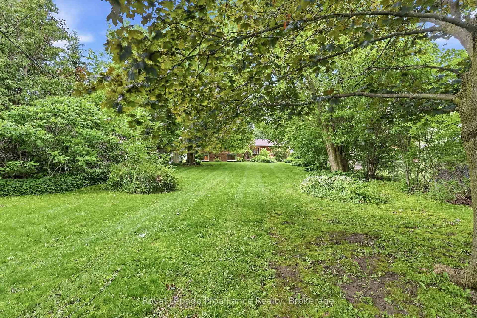 Listing Image 41