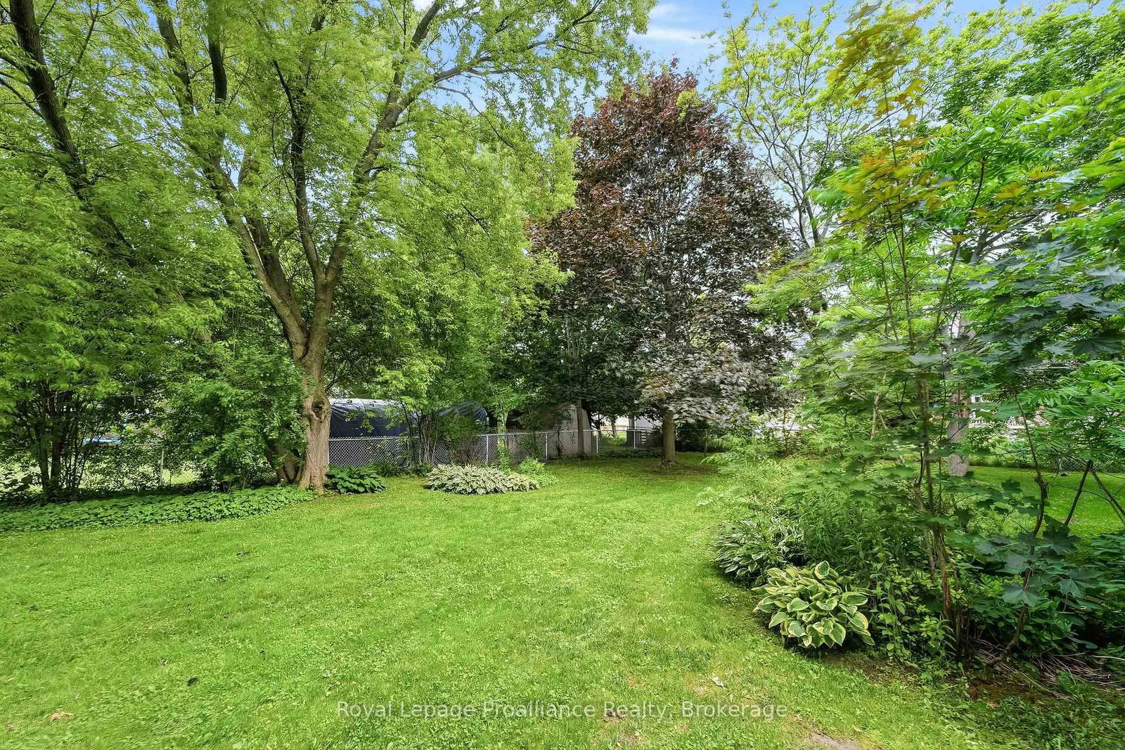 Listing Image 43