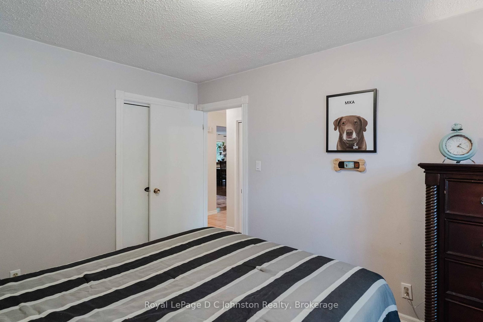 217 Albert Street • Arran-Elderslie, ON photo 17