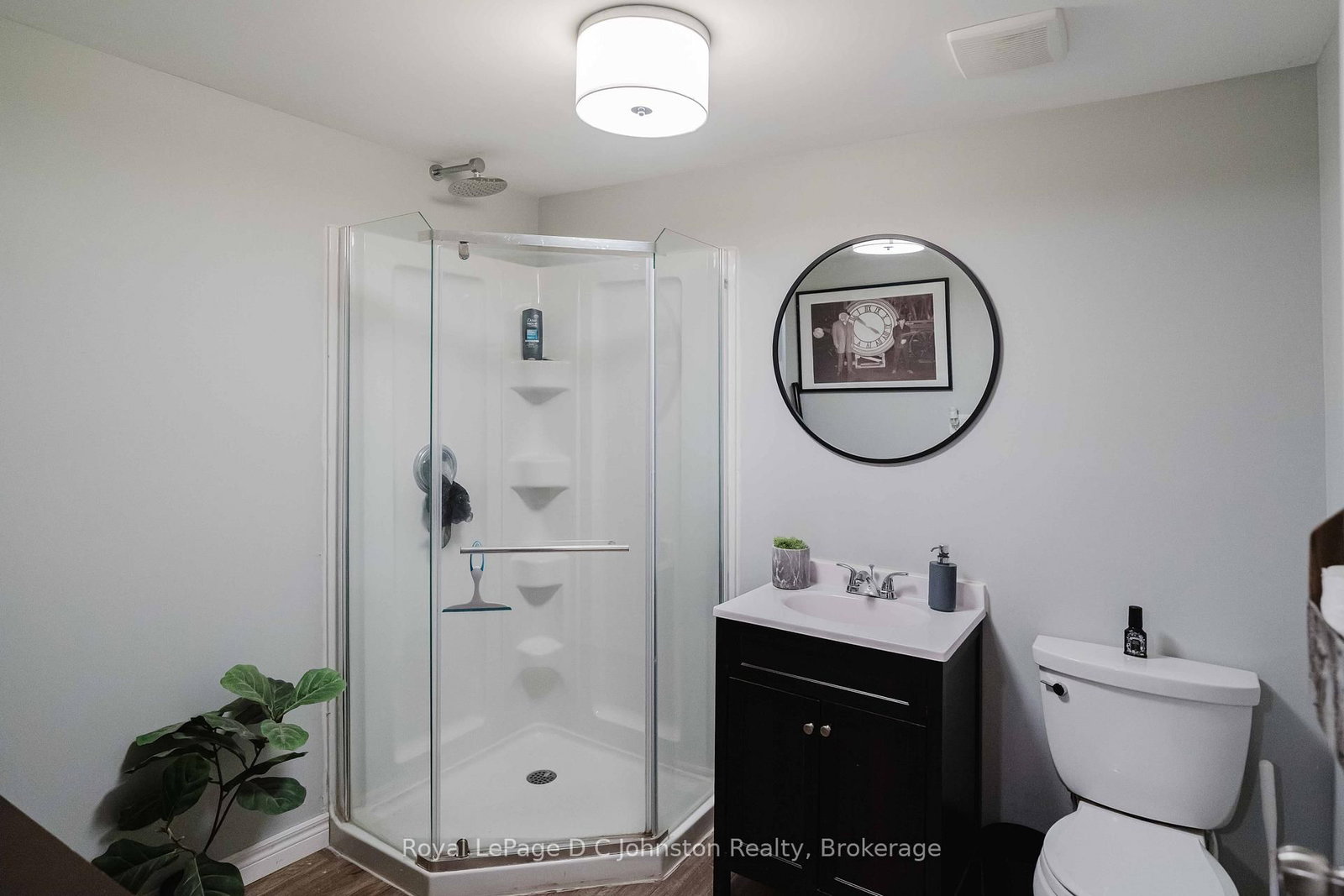 217 Albert Street • Arran-Elderslie, ON photo 31