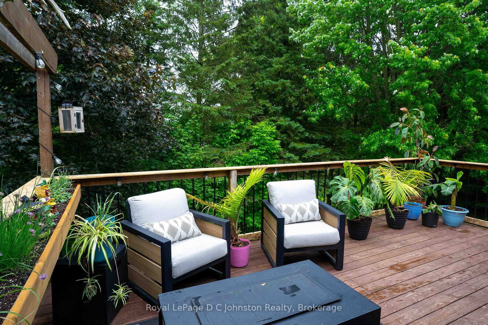 217 Albert Street • Arran-Elderslie, ON photo 39