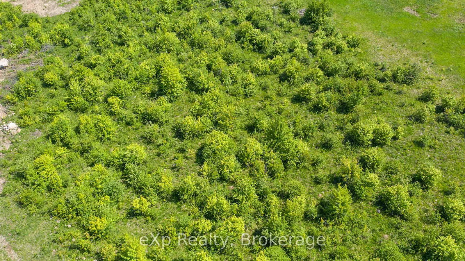LOT 23 CON A, Side Road 23 • Meaford, ON photo 18