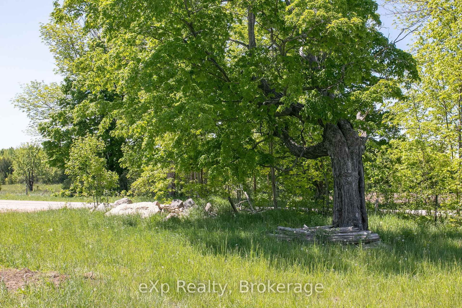 LOT 23 CON A, Side Road 23 • Meaford, ON photo 24