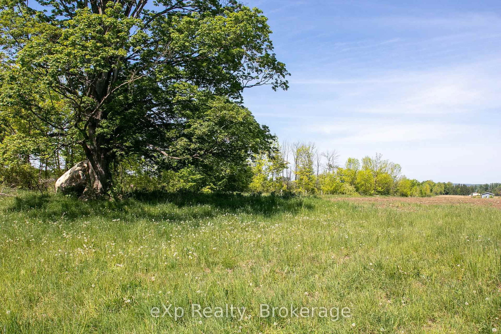 LOT 23 CON A, Side Road 23 • Meaford, ON photo 25