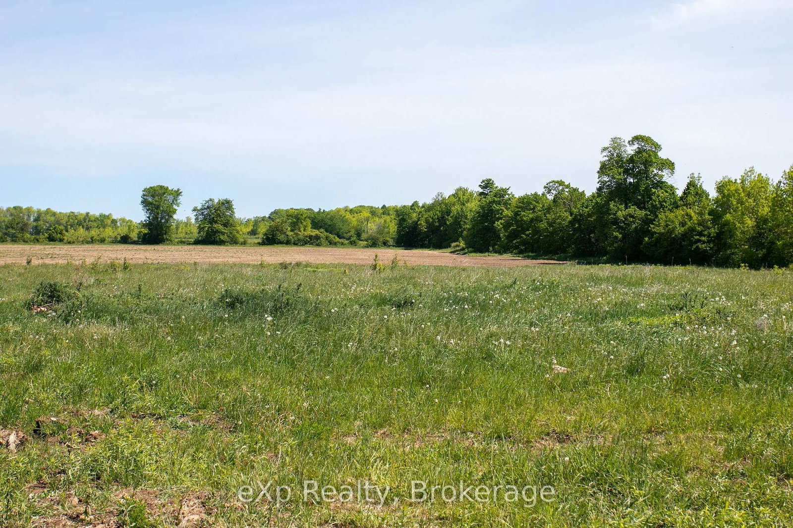 LOT 23 CON A, Side Road 23 • Meaford, ON photo 26