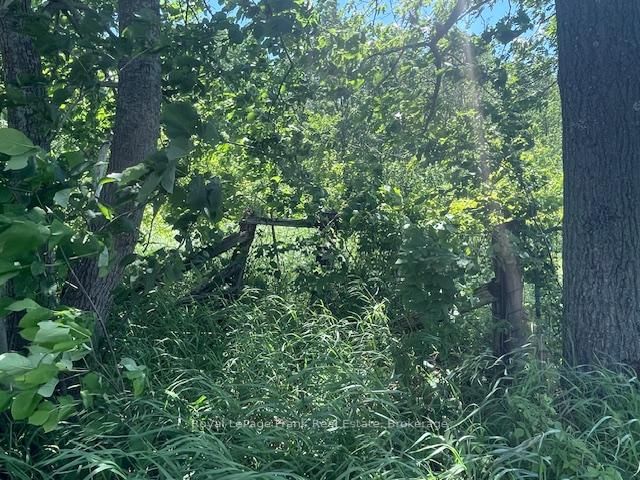 0 Balsam Lake Drive