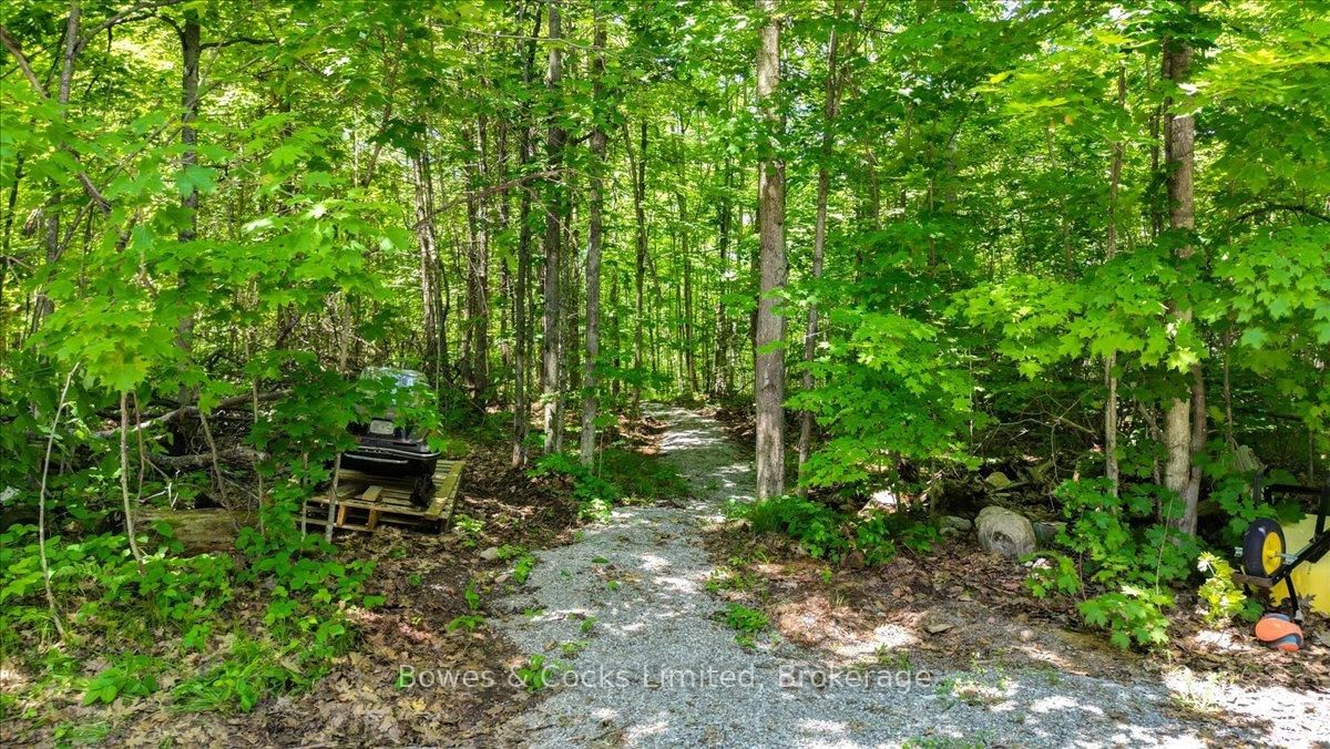 10 Birch Terrace • Trent Lakes, ON photo 40