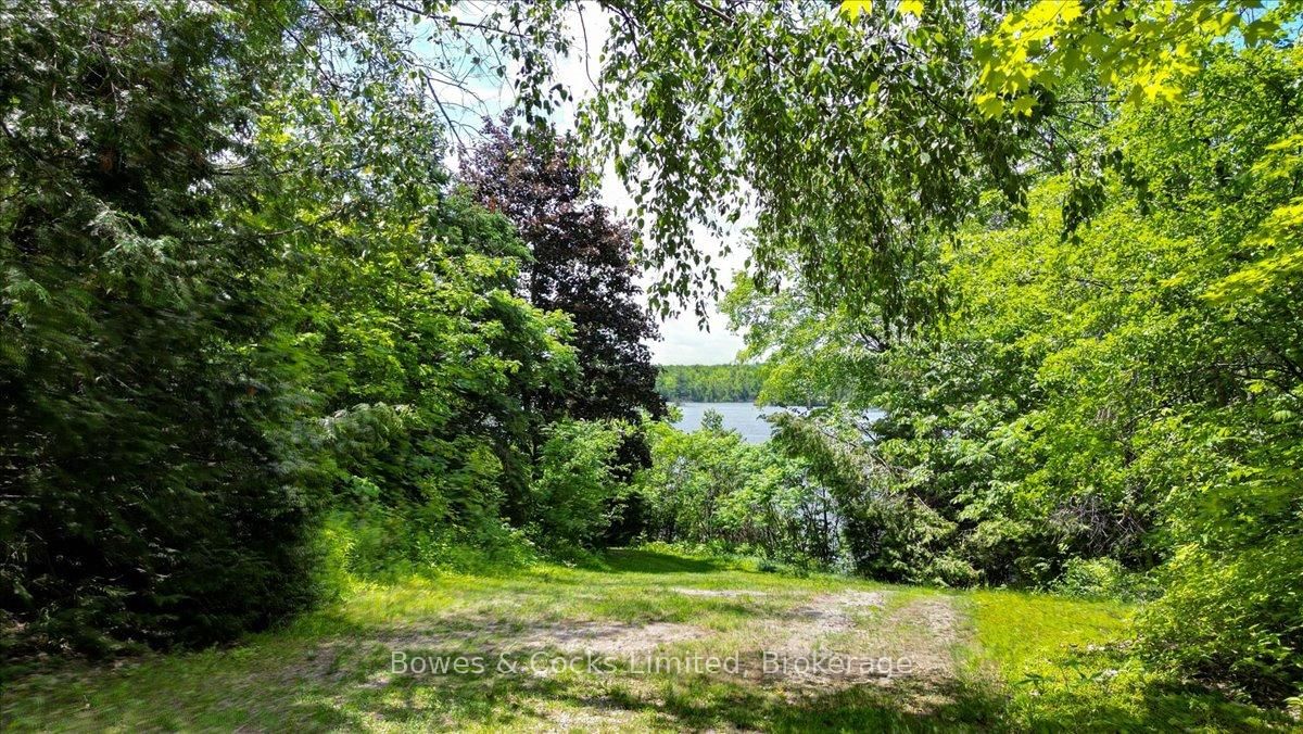 10 Birch Terrace • Trent Lakes, ON photo 46