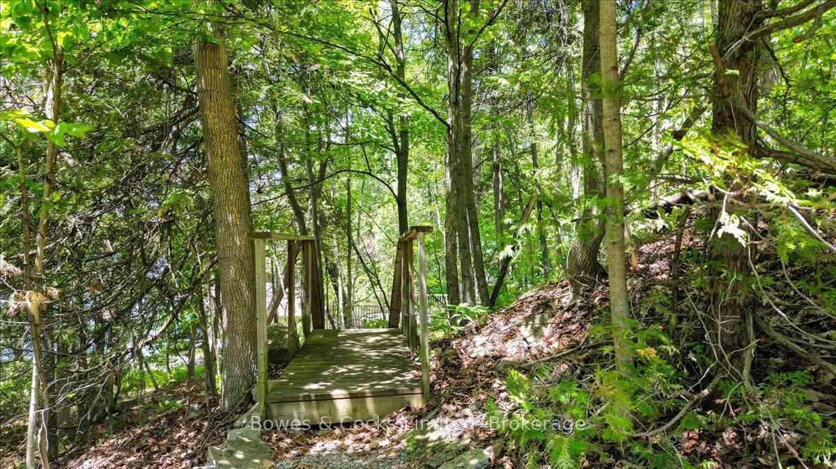 10 Birch Terrace • Trent Lakes, ON photo 47