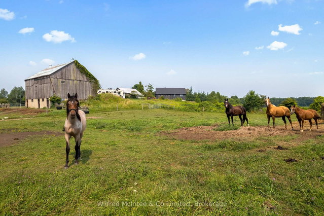 574461 SIDEROAD 40