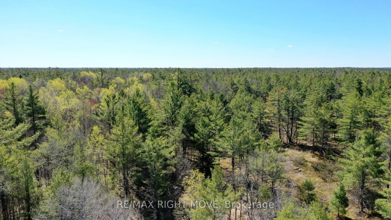 2503 Southwood Road, Gravenhurst