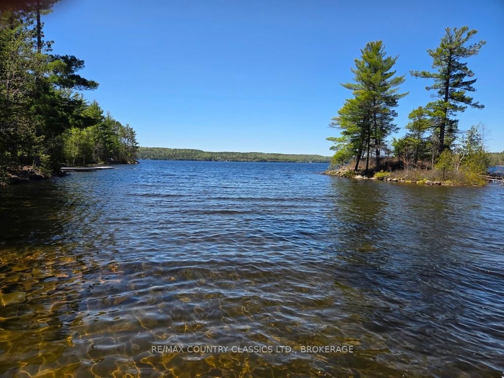 860 Mazinaw Lake • Cloyne, ON photo 14