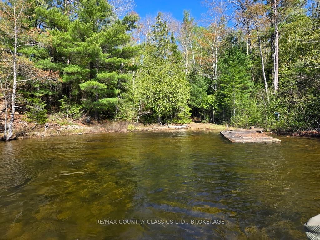 860 Mazinaw Lake • Cloyne, ON photo 15