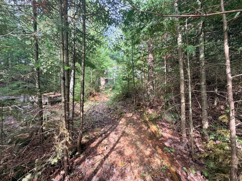 860 Mazinaw Lake