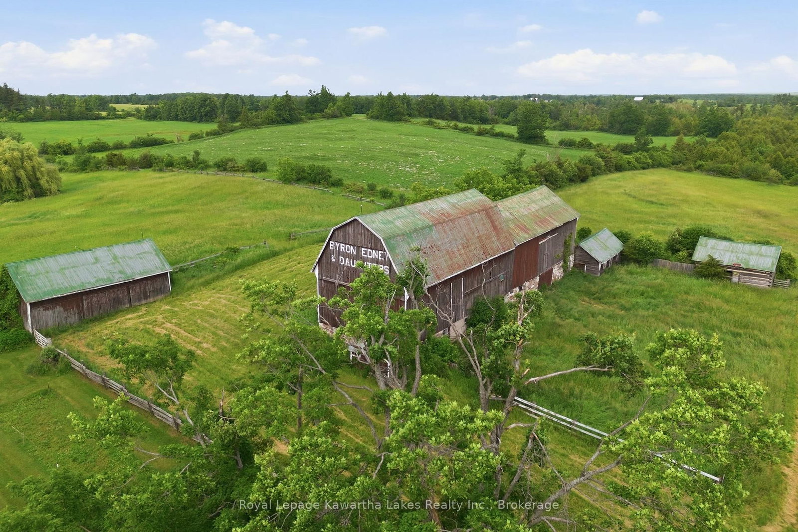 136 Oliver's Road • Kawartha Lakes, ON photo 43