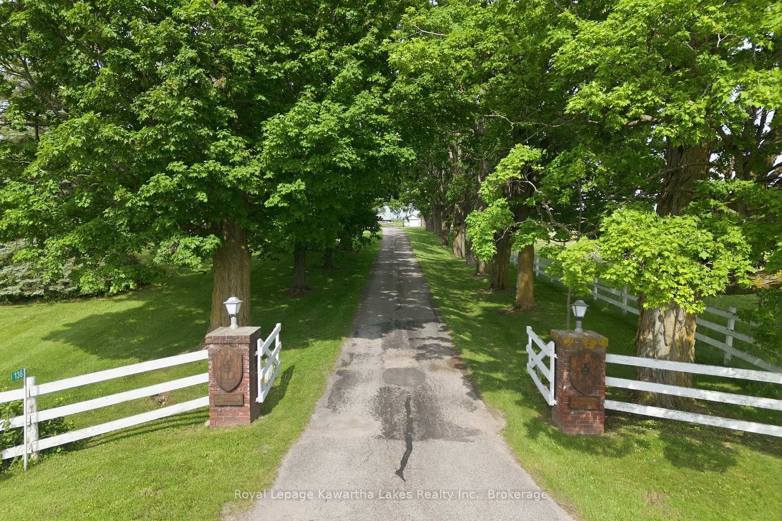 136 Oliver's Road • Kawartha Lakes, ON photo 6