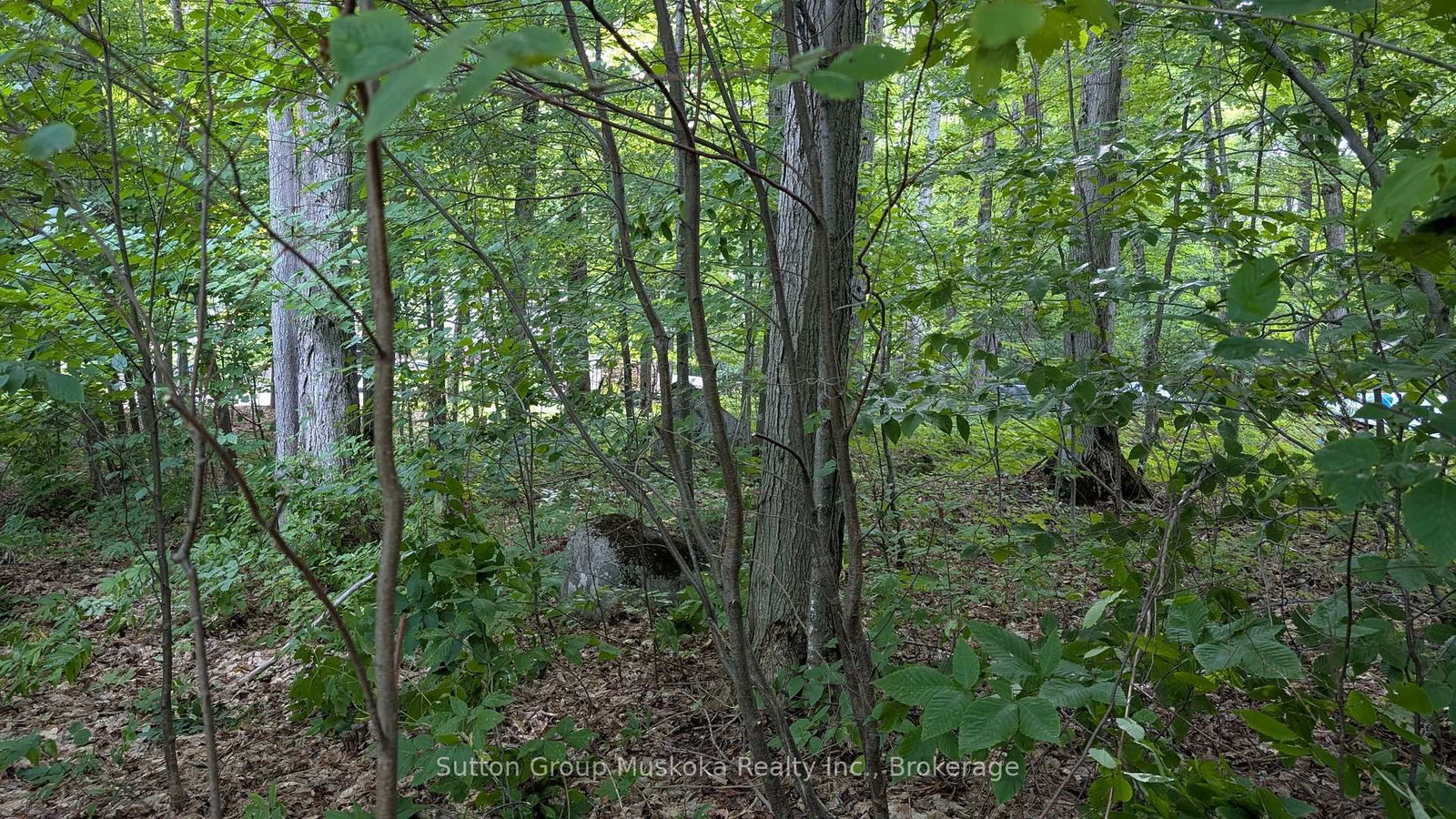 837 Aspdin Road • Huntsville, ON photo 4