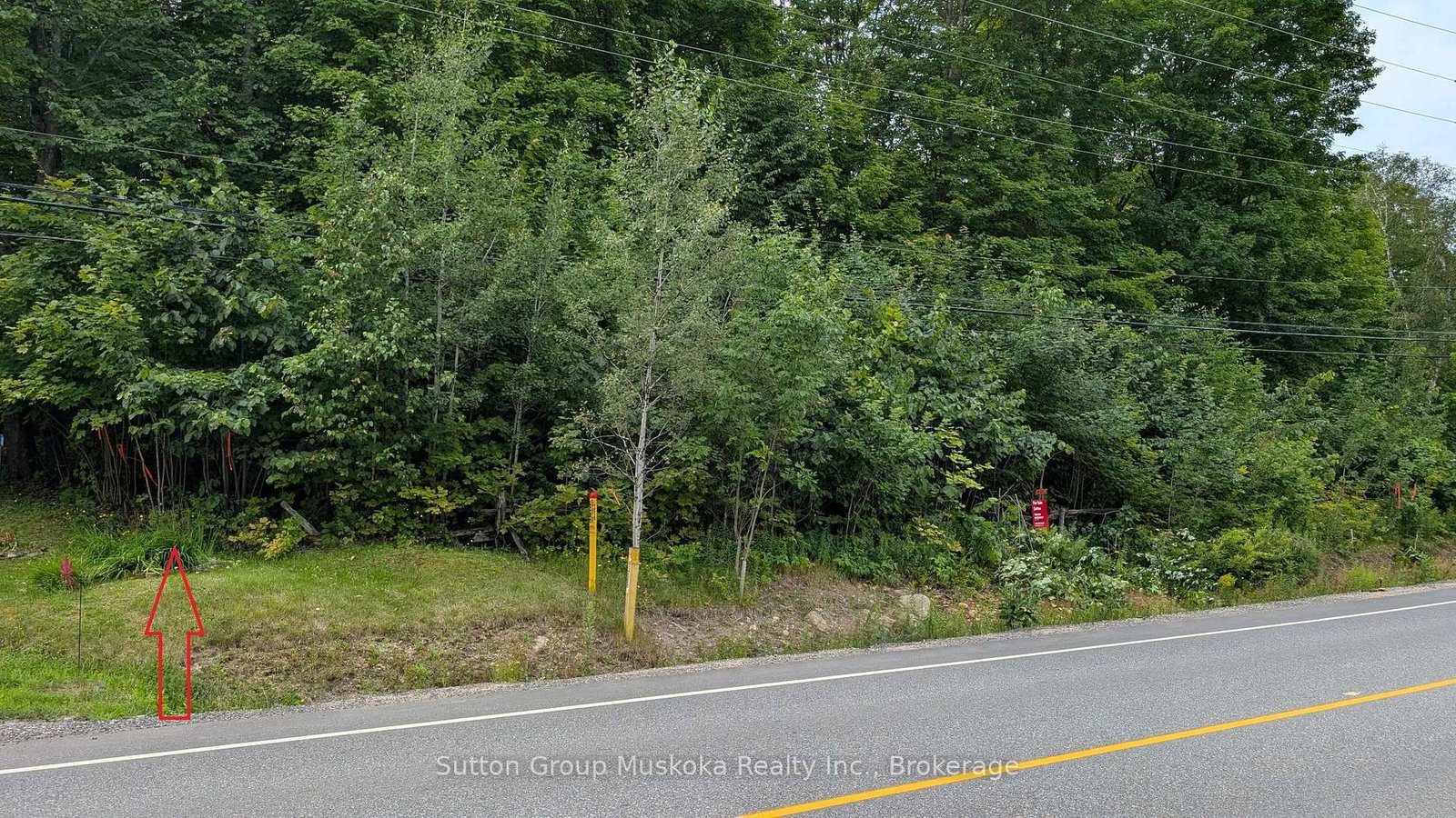 837 Aspdin Road • Huntsville, ON photo 5