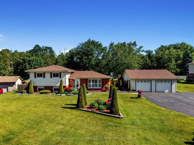8266 Albert Court