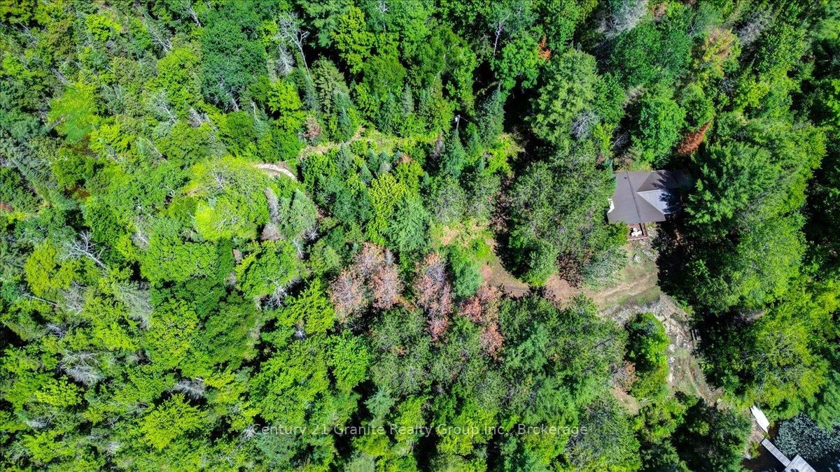 24224 62 Highway • Coe Hill, ON photo 29